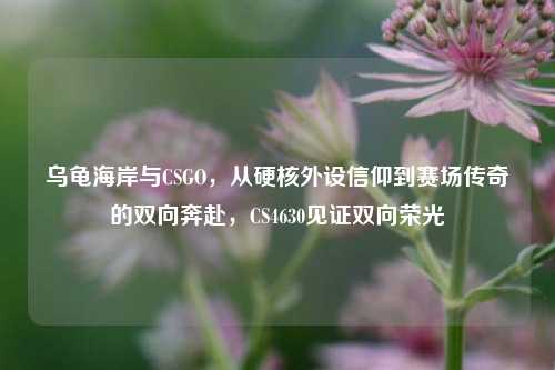 乌龟海岸与CSGO,从硬核外设信仰到赛场传奇的双向奔赴,CS4630见证双向荣光