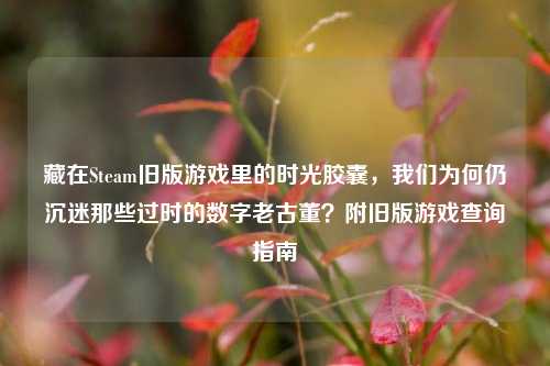 藏在Steam旧版游戏里的时光胶囊,我们为何仍沉迷那些过时的数字老古董?附旧版游戏查询指南