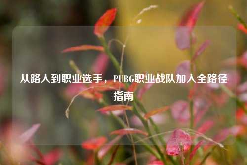 从路人到职业选手,PUBG职业战队加入全路径指南