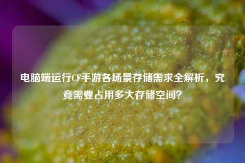 电脑端运行CF手游各场景存储需求全解析,究竟需要占用多大存储空间?