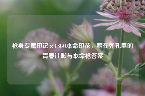 枪身专属印记×CSGO本命印花,藏在弹孔里的青春注脚与本命枪答案
