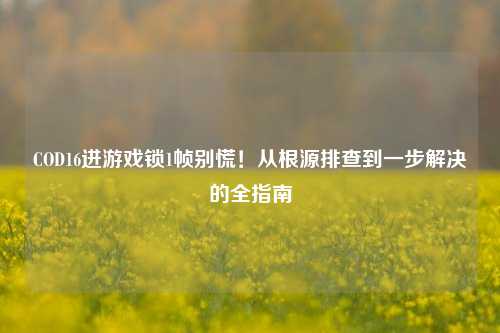 COD16进游戏锁1帧别慌!从根源排查到一步解决的全指南