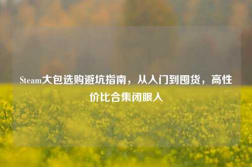 Steam大包选购避坑指南,从入门到囤货,高性价比合集闭眼入