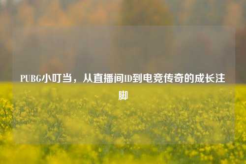 PUBG小叮当，从直播间ID到电竞传奇的成长注脚