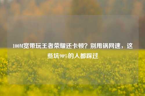 100M宽带玩王者荣耀还卡顿?别甩锅网速,这些坑90%的人都踩过
