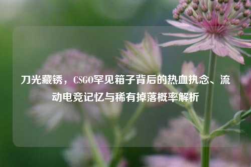 刀光藏锈,CSGO罕见箱子背后的热血执念、流动电竞记忆与稀有掉落概率解析