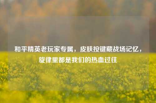 和平精英老玩家专属,皮肤按键藏战场记忆,旋律里都是我们的热血过往