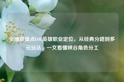 全维度盘点LOL英雄职业定位,从经典分路到多元玩法,一文看懂峡谷角色分工