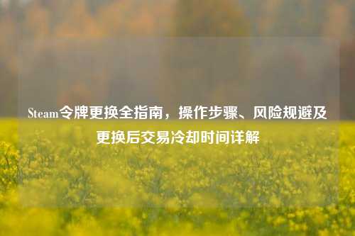 Steam令牌更换全指南,操作步骤、风险规避及更换后交易冷却时间详解