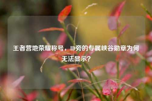 王者营地荣耀称号,ID旁的专属峡谷勋章为何无法显示?