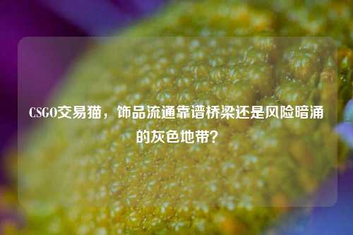 CSGO交易猫，饰品流通靠谱桥梁还是风险暗涌的灰色地带？