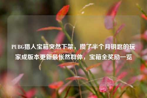 PUBG猎人宝箱突然下架，攒了半个月钥匙的玩家成版本更新最怅然群体，宝箱全奖励一览