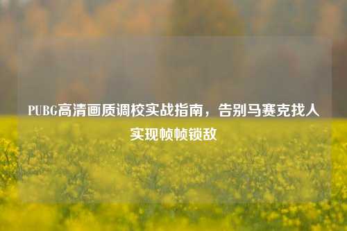 PUBG高清画质调校实战指南,告别马赛克找人实现帧帧锁敌