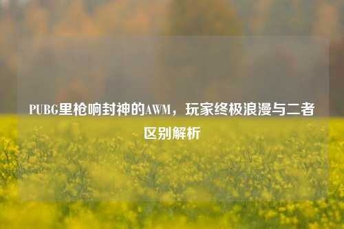 PUBG里枪响封神的AWM,玩家终极浪漫与二者区别解析