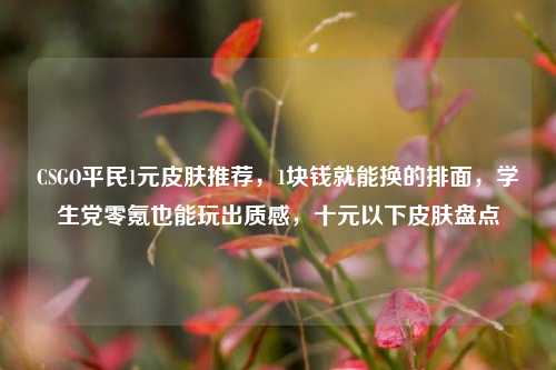 CSGO平民1元皮肤推荐,1块钱就能换的排面,学生党零氪也能玩出质感,十元以下皮肤盘点