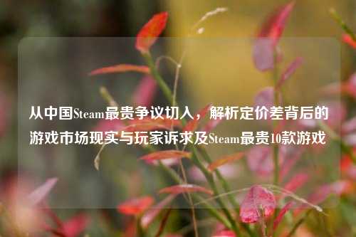 从中国Steam最贵争议切入，解析定价差背后的游戏市场现实与玩家诉求及Steam最贵10款游戏