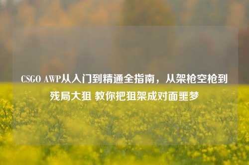 CSGO AWP从入门到精通全指南，从架枪空枪到残局大狙 教你把狙架成对面噩梦