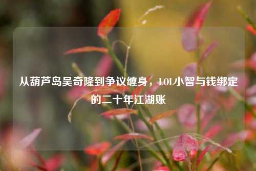 从葫芦岛吴奇隆到争议缠身,LOL小智与钱绑定的二十年江湖账