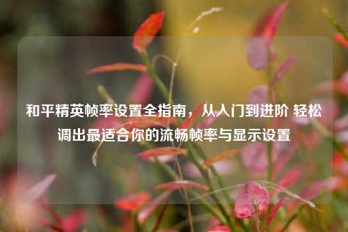 和平精英帧率设置全指南,从入门到进阶 轻松调出最适合你的流畅帧率与显示设置