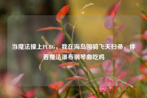 当魔法撞上PUBG,我在海岛图骑飞天扫帚,伴着魔法瀑布钢琴曲吃鸡