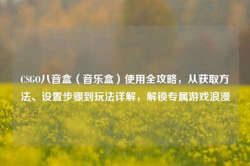 CSGO八音盒(音乐盒)使用全攻略,从获取方法、设置步骤到玩法详解,解锁专属游戏浪漫
