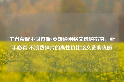 王者荣耀不同位置/英雄通用铭文选购指南,新手必看 不浪费碎片的高性价比铭文选购攻略
