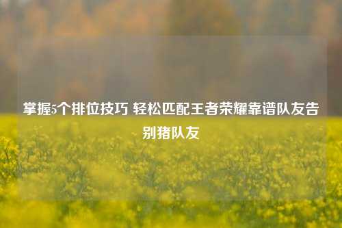 掌握5个排位技巧 轻松匹配王者荣耀靠谱队友告别猪队友