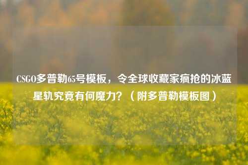 CSGO多普勒65号模板,令全球收藏家疯抢的冰蓝星轨究竟有何魔力?(附多普勒模板图)