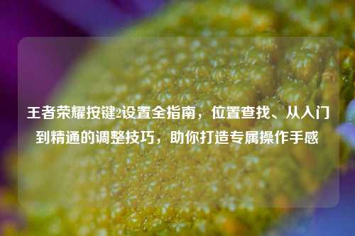 王者荣耀按键2设置全指南,位置查找、从入门到精通的调整技巧,助你打造专属操作手感