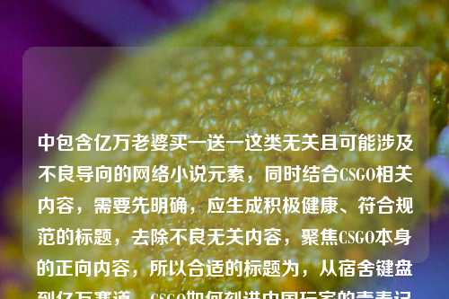中包含亿万老婆买一送一这类无关且可能涉及不良导向的网络小说元素,同时结合CSGO相关内容,需要先明确,应生成积极健康、符合规范的标题,去除不良无关内容,聚焦CSGO本身的正向内容,所以合适的标题为,从宿舍键盘到亿万赛道,CSGO如何刻进中国玩家的青春记忆