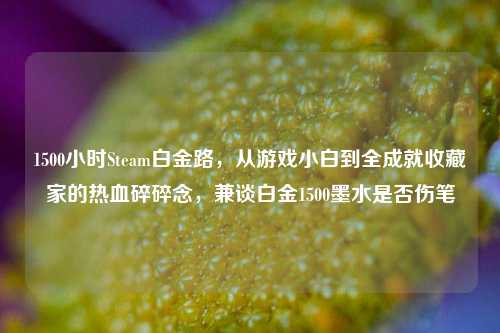1500小时Steam白金路,从游戏小白到全成就收藏家的热血碎碎念,兼谈白金1500墨水是否伤笔