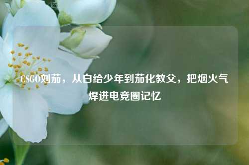 CSGO刘茄,从白给少年到茄化教父,把烟火气焊进电竞圈记忆