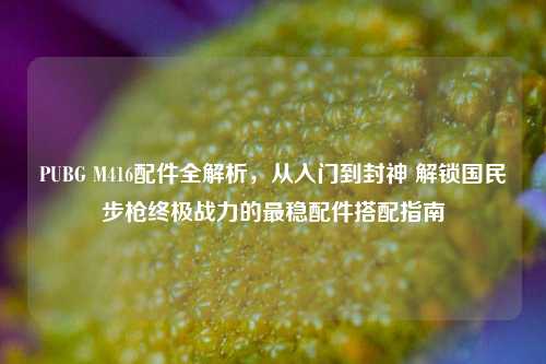 PUBG M416配件全解析，从入门到封神 解锁国民步枪终极战力的最稳配件搭配指南
