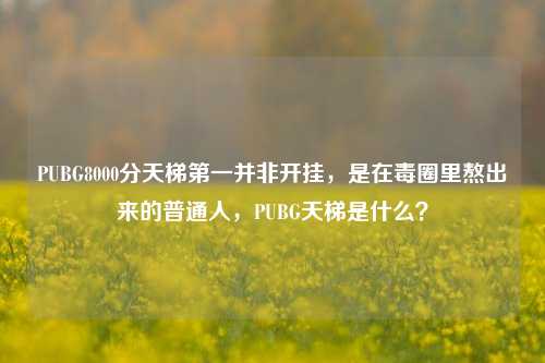 PUBG8000分天梯第一并非开挂，是在毒圈里熬出来的普通人，PUBG天梯是什么？