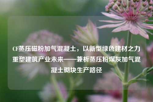 CF蒸压磁粉加气混凝土,以新型绿色建材之力重塑建筑产业未来——兼析蒸压粉煤灰加气混凝土砌块生产路径