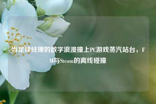 当足球经理的数字浪漫撞上PC游戏蒸汽站台,FM与Steam的离线碰撞