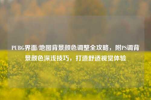 PUBG界面/地图背景颜色调整全攻略,附PS调背景颜色深浅技巧,打造舒适视觉体验