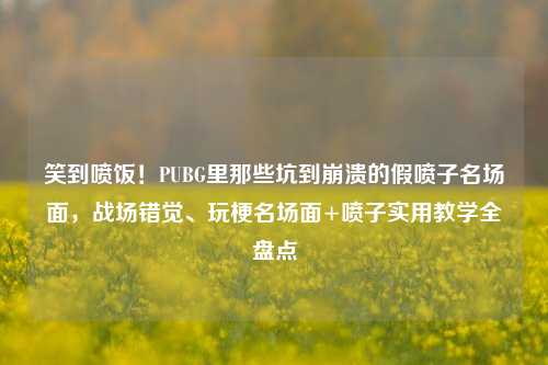笑到喷饭!PUBG里那些坑到崩溃的假喷子名场面,战场错觉、玩梗名场面+喷子实用教学全盘点