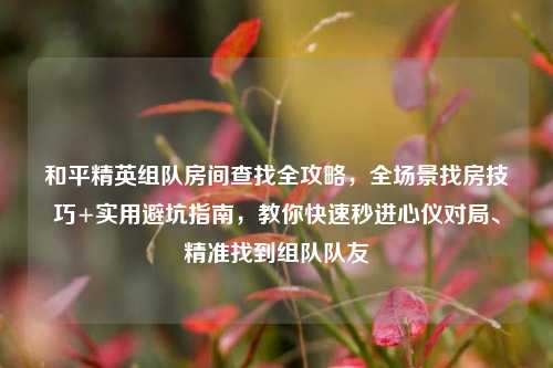 和平精英组队房间查找全攻略，全场景找房技巧+实用避坑指南，教你快速秒进心仪对局、精准找到组队队友