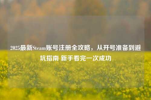 2025最新Steam账号注册全攻略,从开号准备到避坑指南 新手看完一次成功