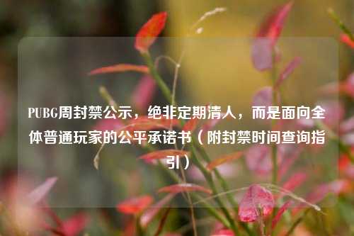 PUBG周封禁公示，绝非定期清人，而是面向全体普通玩家的公平承诺书（附封禁时间查询指引）