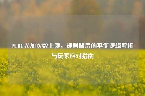 PUBG参加次数上限，规则背后的平衡逻辑解析与玩家应对指南