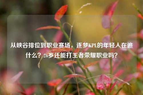 从峡谷排位到职业赛场,逐梦KPL的年轻人在追什么?26岁还能打王者荣耀职业吗?