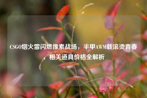 CSGO烟火雷闪燃像素战场，半甲AWM载滚烫青春，相关道具价格全解析