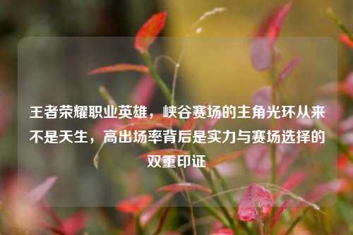 王者荣耀职业英雄，峡谷赛场的主角光环从来不是天生，高出场率背后是实力与赛场选择的双重印证