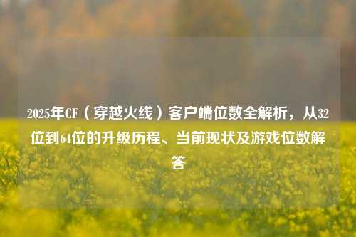 2025年CF（穿越火线）客户端位数全解析，从32位到64位的升级历程、当前现状及游戏位数解答
