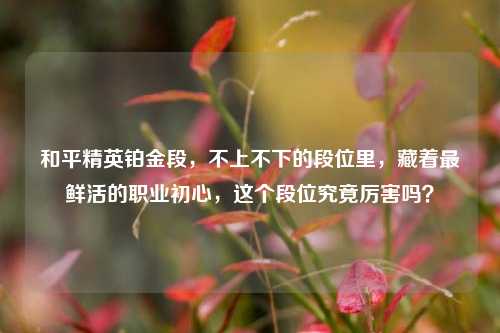 和平精英铂金段,不上不下的段位里,藏着最鲜活的职业初心,这个段位究竟厉害吗?
