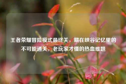 王者荣耀冒险模式最终关,藏在峡谷记忆里的不可能通关,老玩家才懂的热血难题
