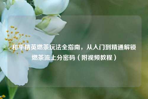 和平精英燃茶玩法全指南,从入门到精通解锁燃茶流上分密码(附视频教程)