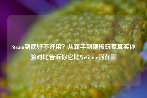 Steam到底好不好用？从新手到硬核玩家真实体验对比告诉你它比WeGame强在哪